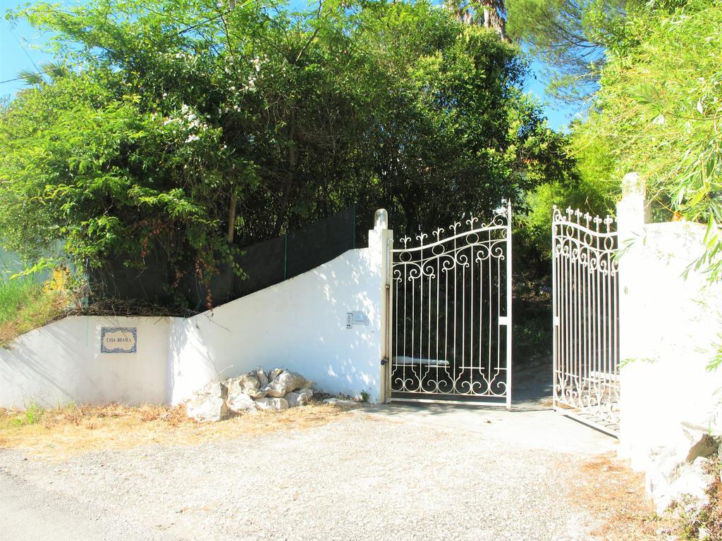 Casa Branca Guest House Foz do Arelho Exterior photo